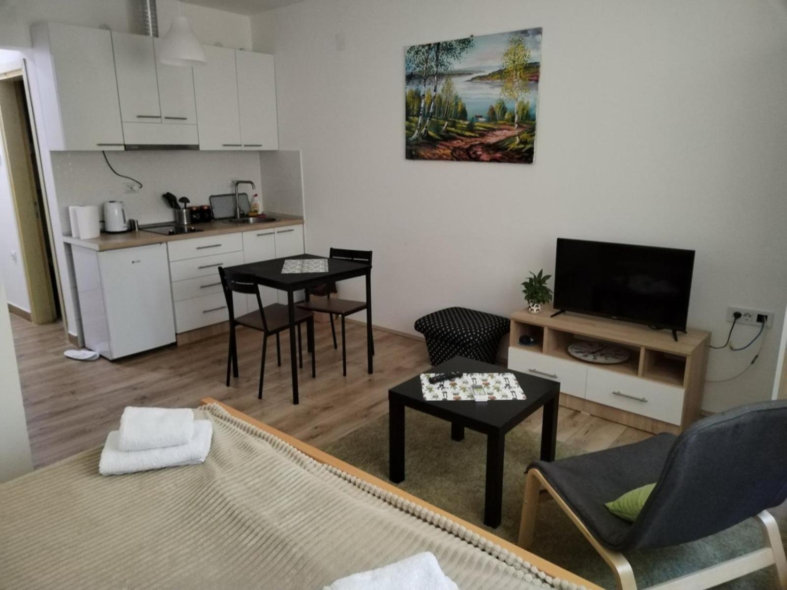 V & V Studio Apartments Ni 部屋 写真